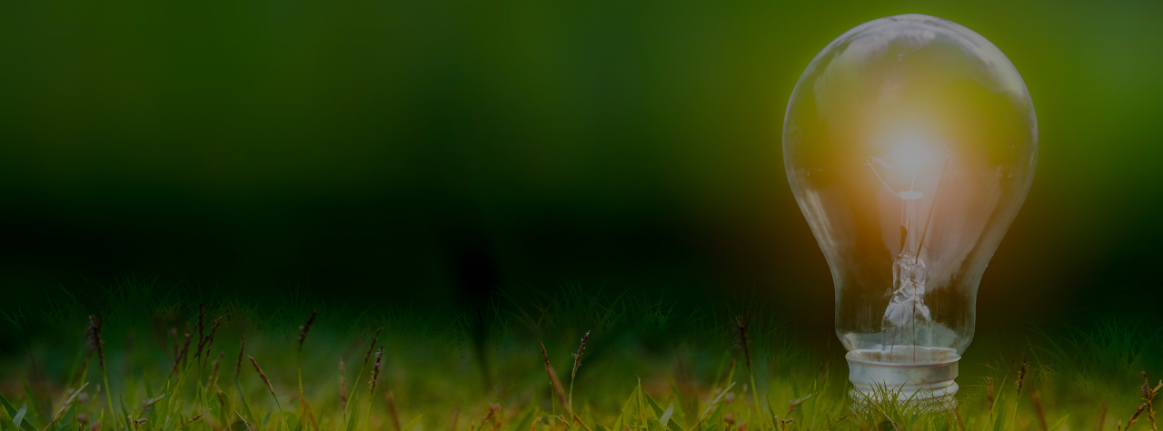 A lit light bulb on a grassy field